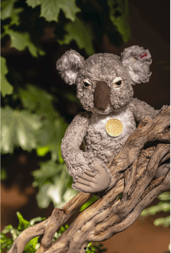 STEIFF - KOALA XANDER – Image 2